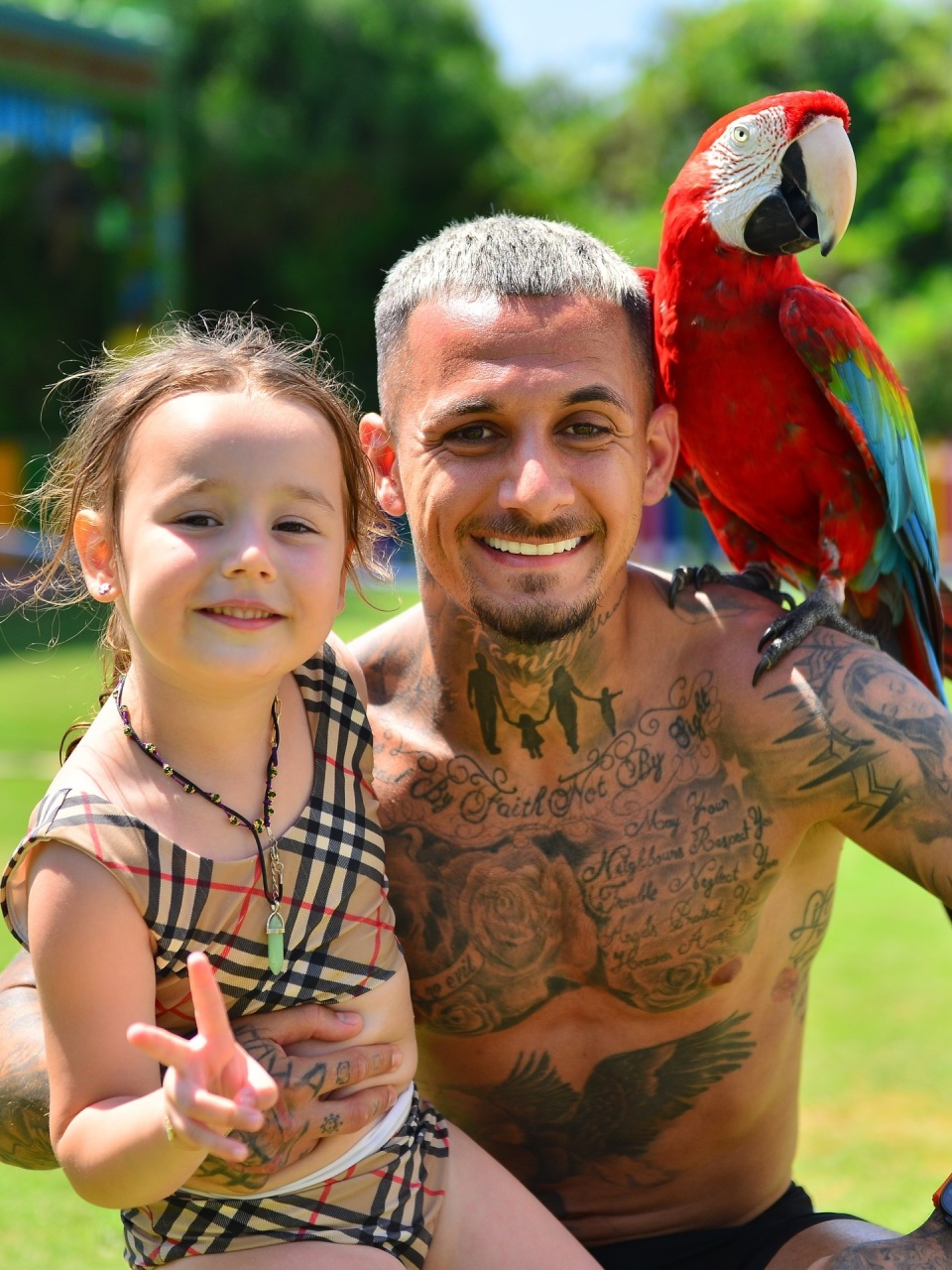 fMWgn, rofvy fMWgn, rofvy