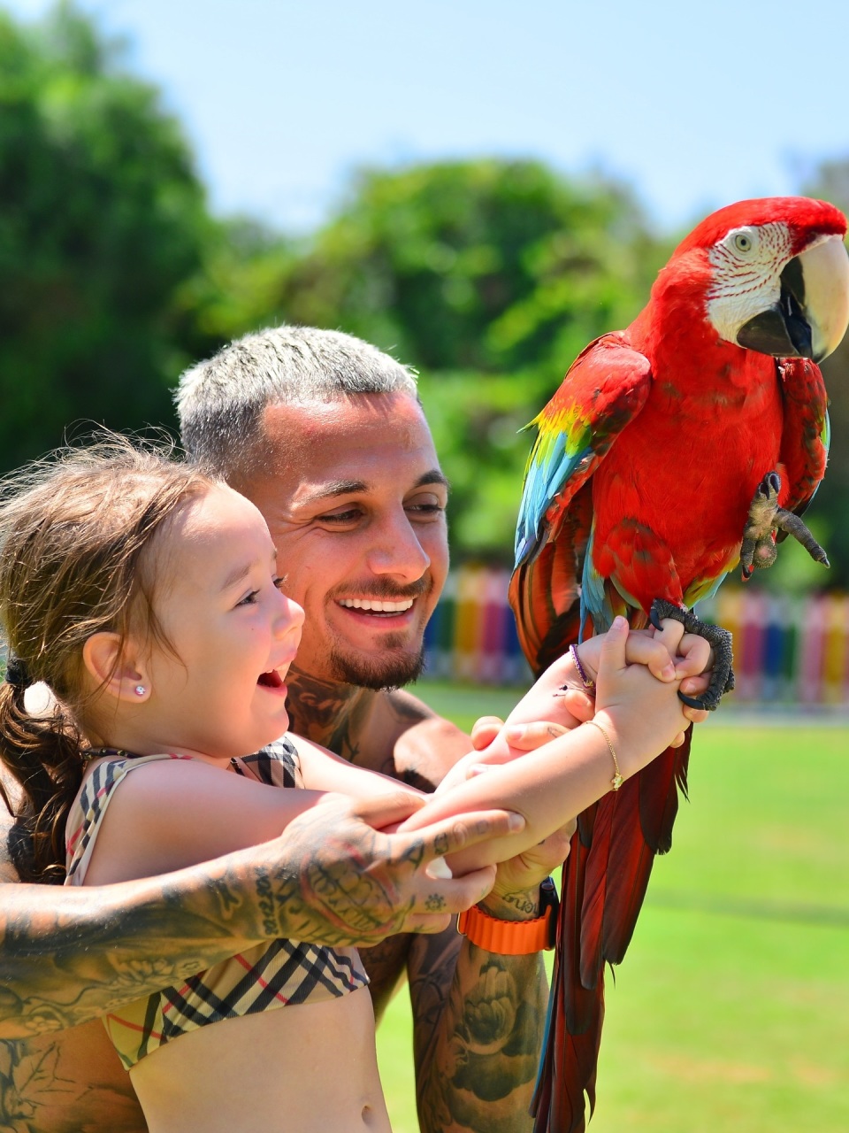 uQJeT, src, 布从罗马尼 uQJeT, src, 布从罗马尼