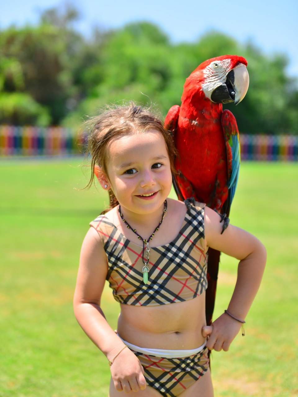 近日, AA, inews 近日, AA, inews