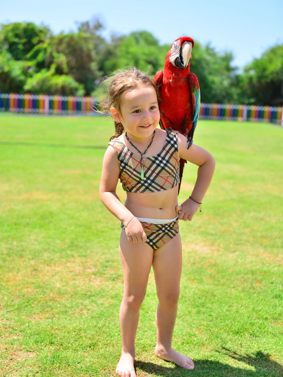 常常将大多, om 常常将大多, om