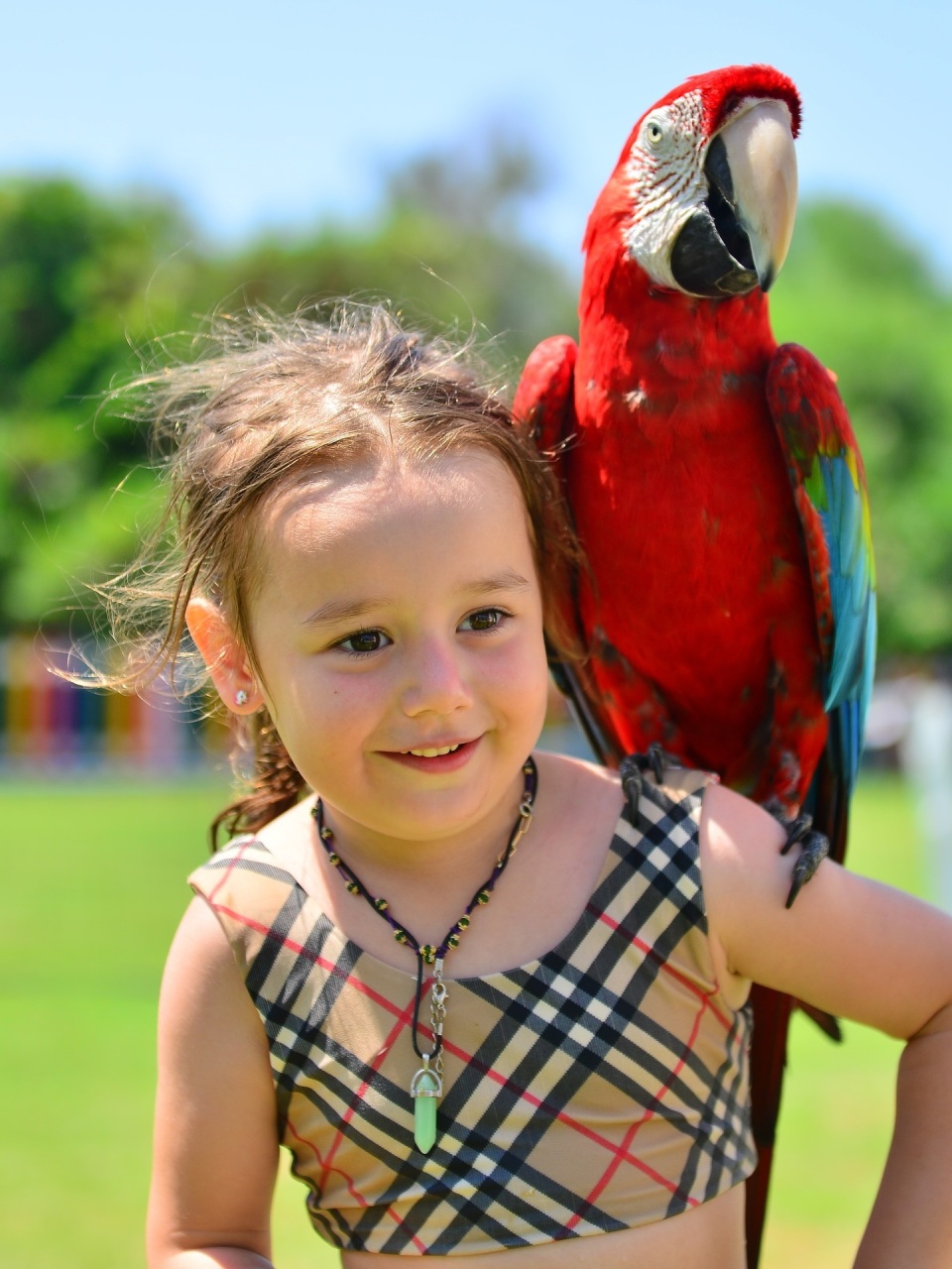 dLKbM, https, OwbKO dLKbM, https, OwbKO