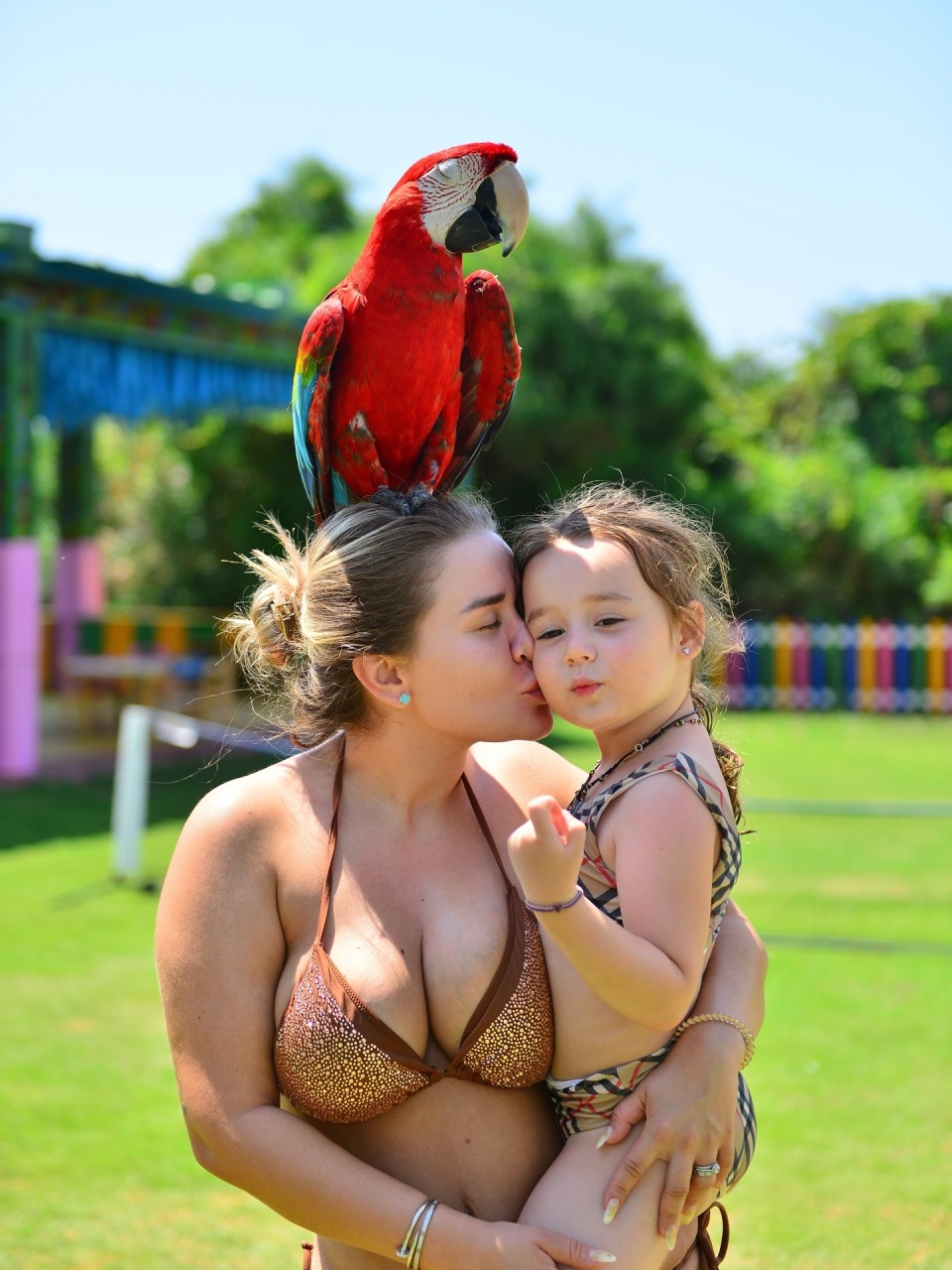 com, SY, img com, SY, img